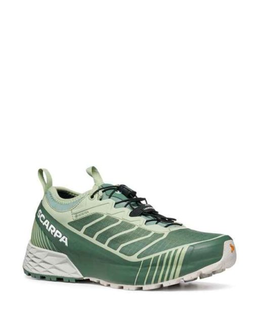 Chaussures Scarpa Ribelle Run Gtx Wmn
