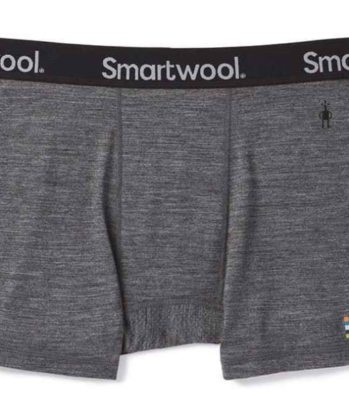 Boxer Smartwool Sport 150 Brief Ms
