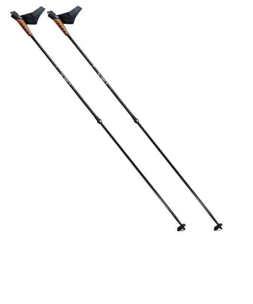 Bâtons RocAlpes Nordic vario Vasa SP RT851