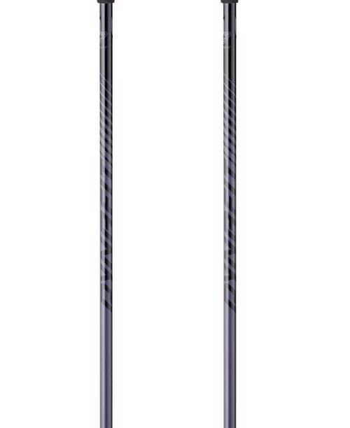 Alternative view of Bâtons Dynafit Tour