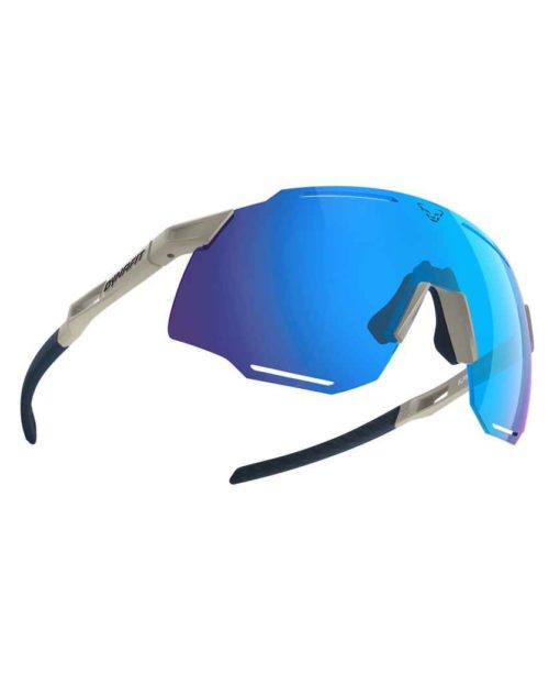 Lunettes Dynafit Alpine Evo