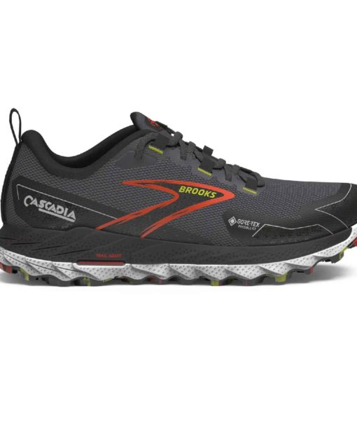 Chaussure Brooks Cascadia 18 GTX Men