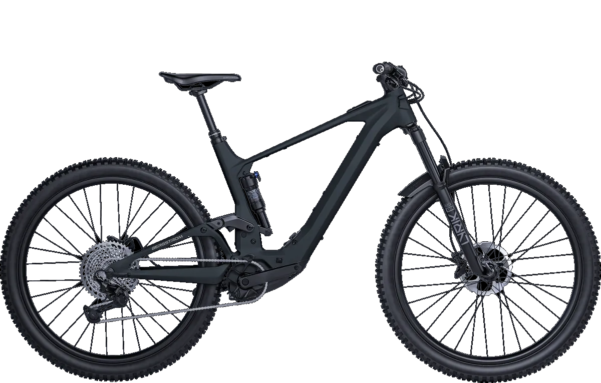 Alternative view of Vélo Bergstrom Roots 4