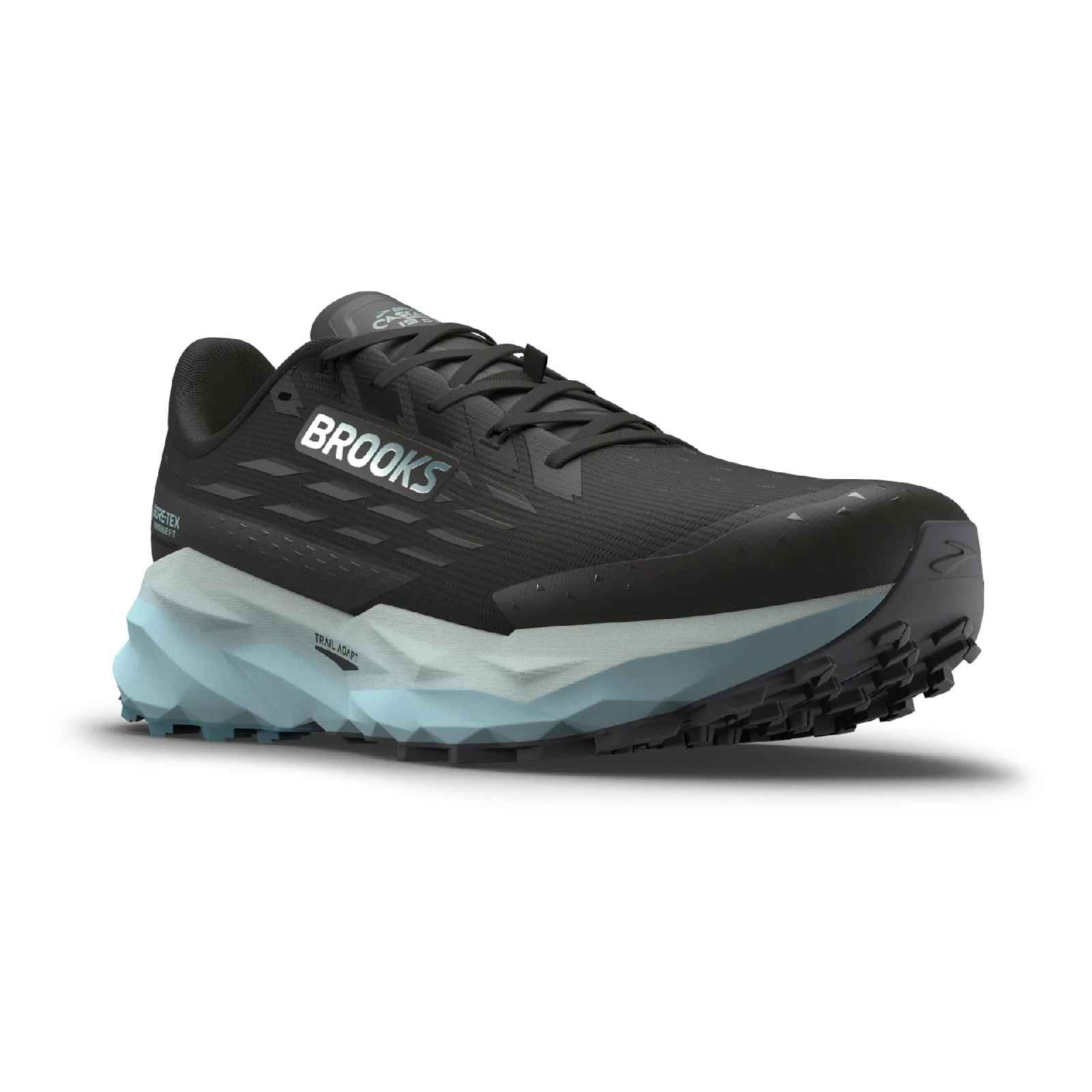 Chaussure Brooks Cascadia 19 GTX Wmn